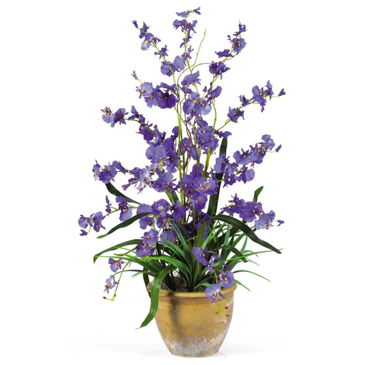 Dancing Lady Silk Orchid Arrangement Nearly Natural flowering plant in ceramic pot on Tampa Home & Garden Store