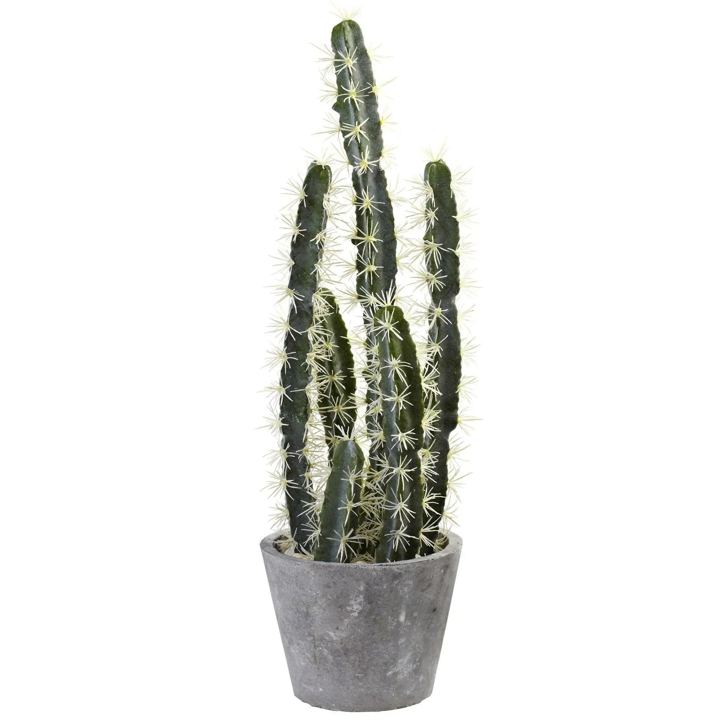 Decorative cactus garden in gray cement planter; tall green cacti with white spines Nearly Natural on Tampa Home & Garden Store