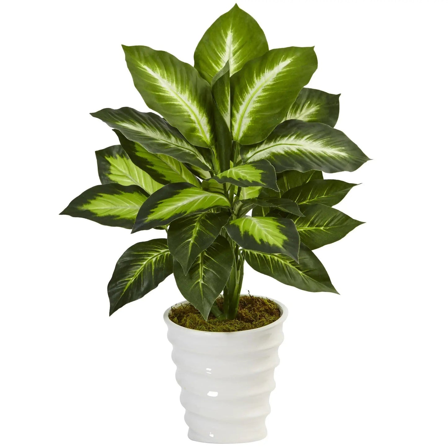 Dieffenbachia artificial plant in a white swirl planter with faux moss Nearly Natural on Tampa Home & Garden Store