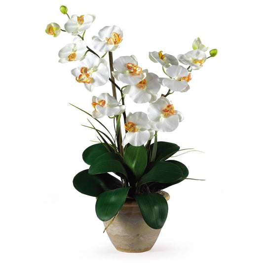Double Stem Phalaenopsis Silk Orchid Arrangement - Tampa Home & Garden Store
