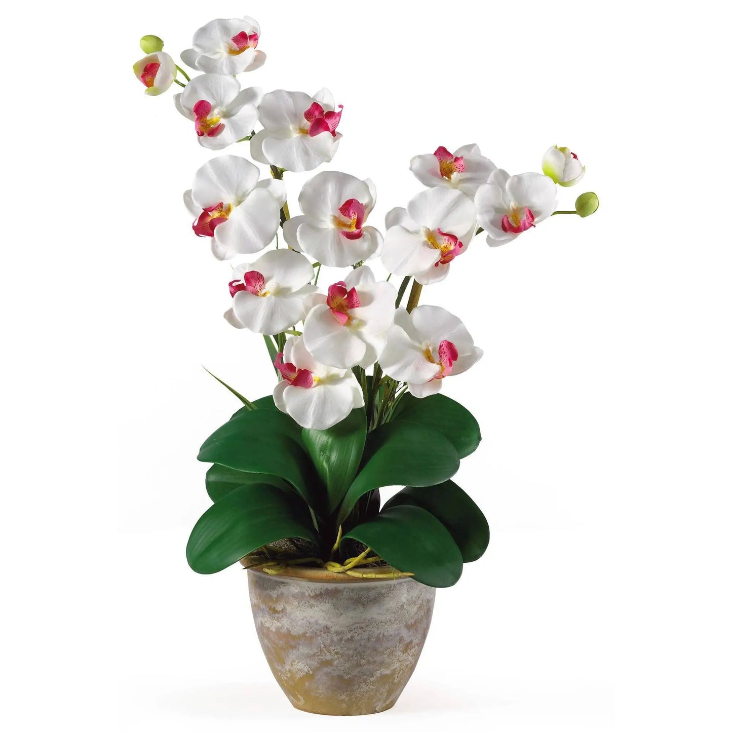 Double Stem Phalaenopsis Silk Orchid Arrangement white blooms with pink centers in a ceramic pot on Tampa Home & Garden Store
