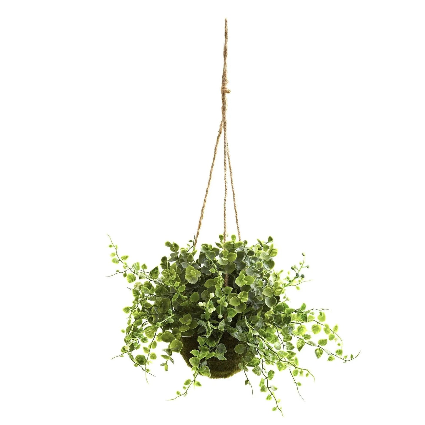 Eucalyptus Maiden Hair and Berry Hanging Basket Nearly Natural moss basket on jute rope on Tampa Home & Garden Store