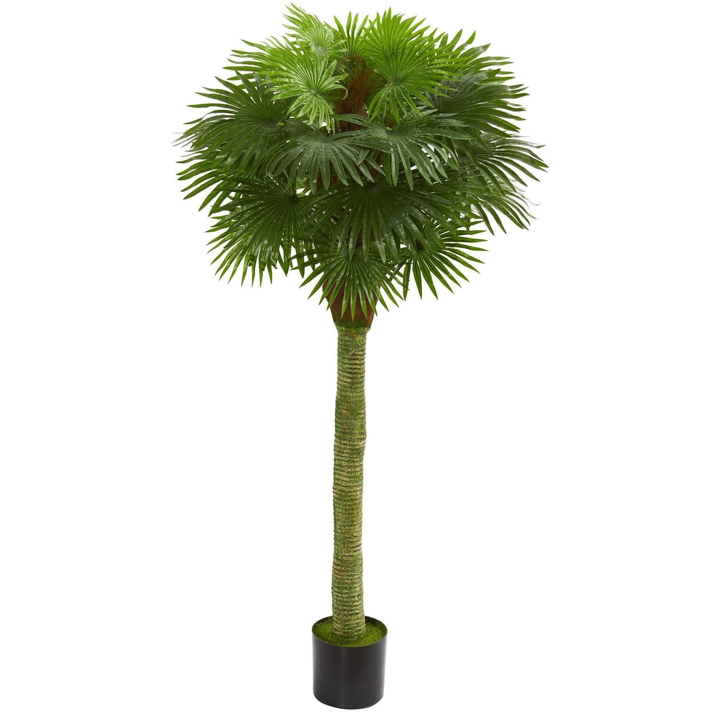 Fan Palm Tree UV Resistant Artificial Plant for Indoor Outdoor Use by Nearly Natural on Tampa Home & Garden Store