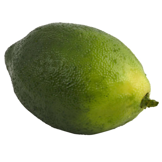 Faux Limes Set of 12 for Centerpieces, Nearly Natural, green textured artificial fruit on Tampa Home & Garden Store