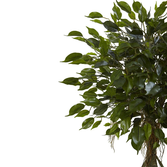 Ficus tree with white planter, 52-inch Nearly Natural artificial ficus, lush green leaves on Tampa Home & Garden Store