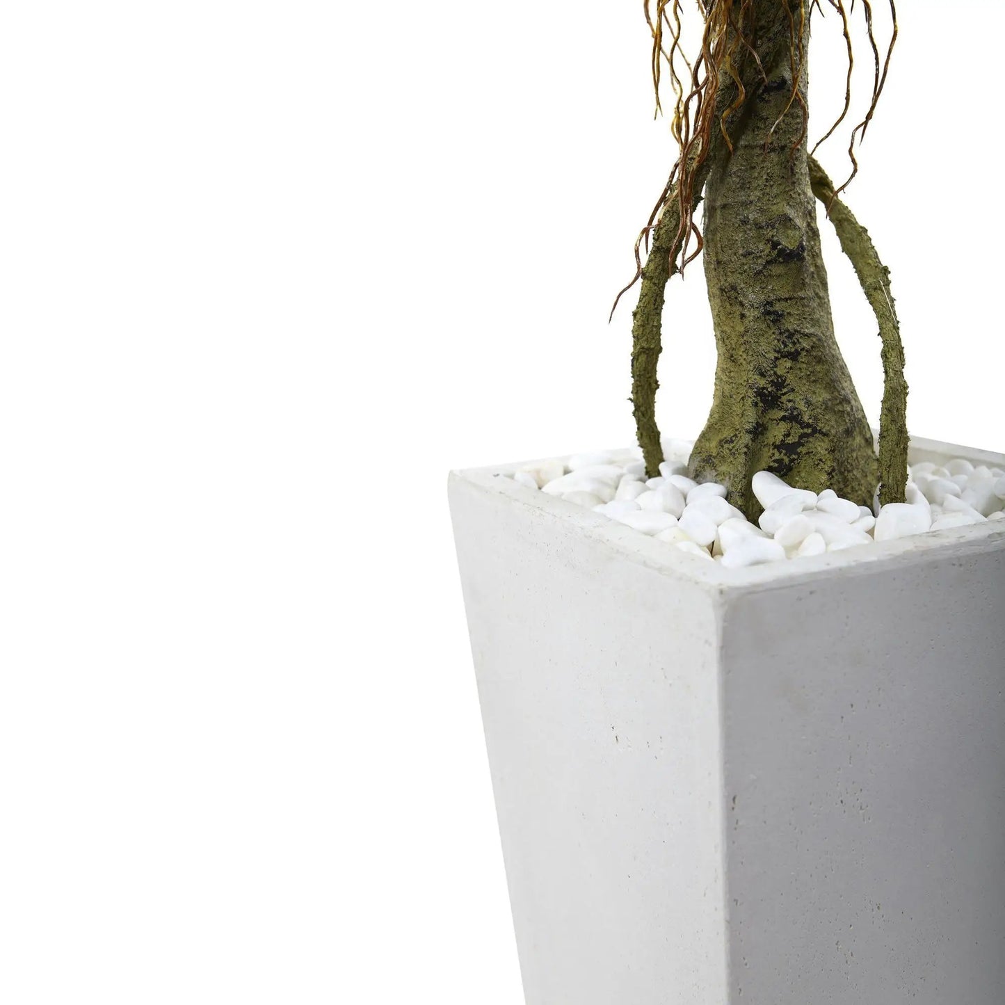 Faux ficus tree in white square planter with white rocks, UV resistant indoor outdoor on Tampa Home & Garden Store