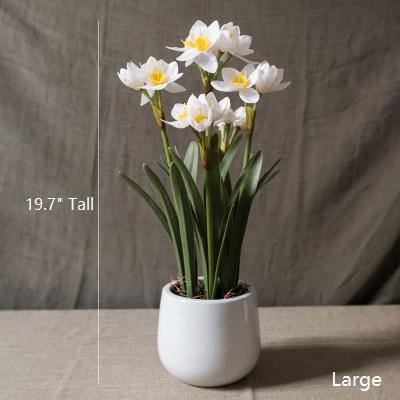 RusticReach Artificial Silk Real Touch Daffodil Bonsai with blooms and yellow centers in pot on Tampa Home & Garden Store