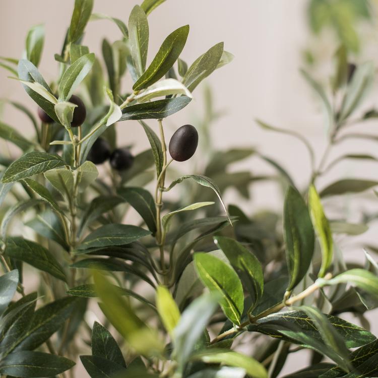 Artificial large olive stem 41 in tall with realistic green leaves and dark olives RusticReach on Tampa Home & Garden Store
