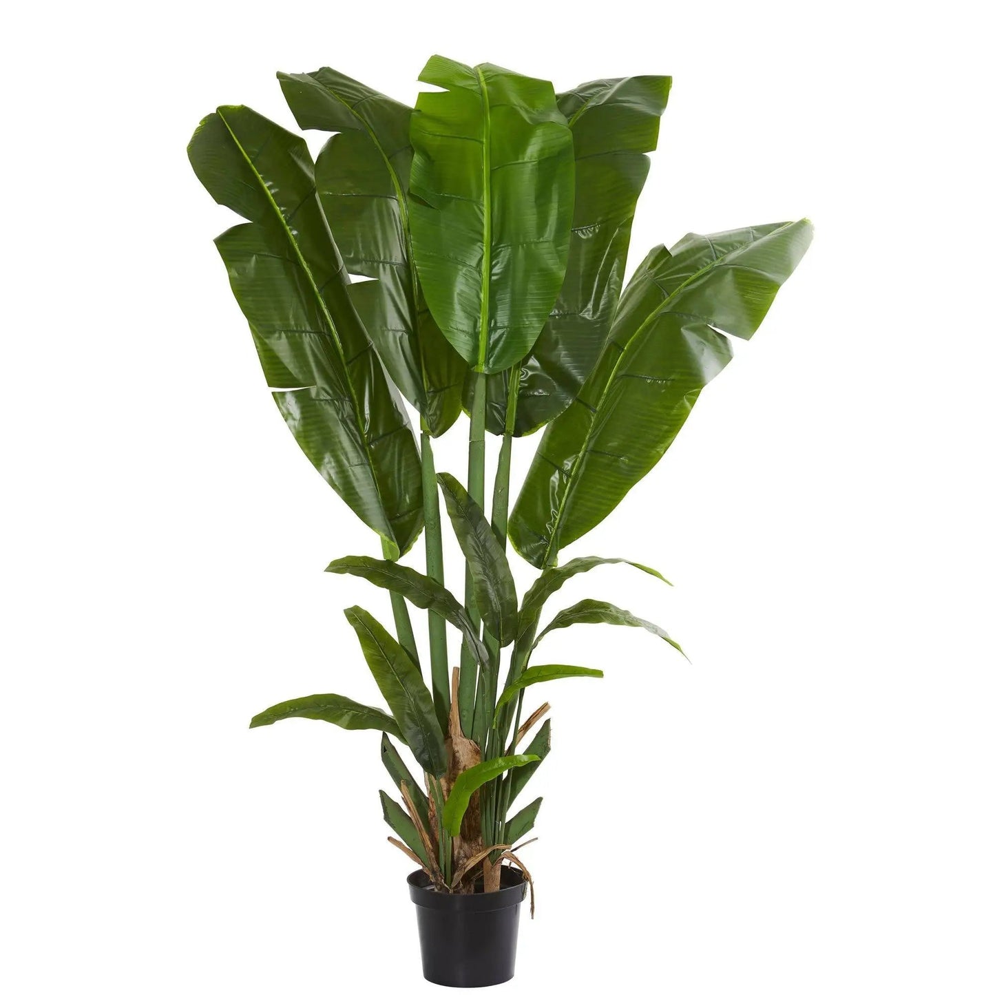 Giant Travelers Palm artificial tree with glossy green fronds in a black pot, 8.5 ft tall on Tampa Home & Garden Store