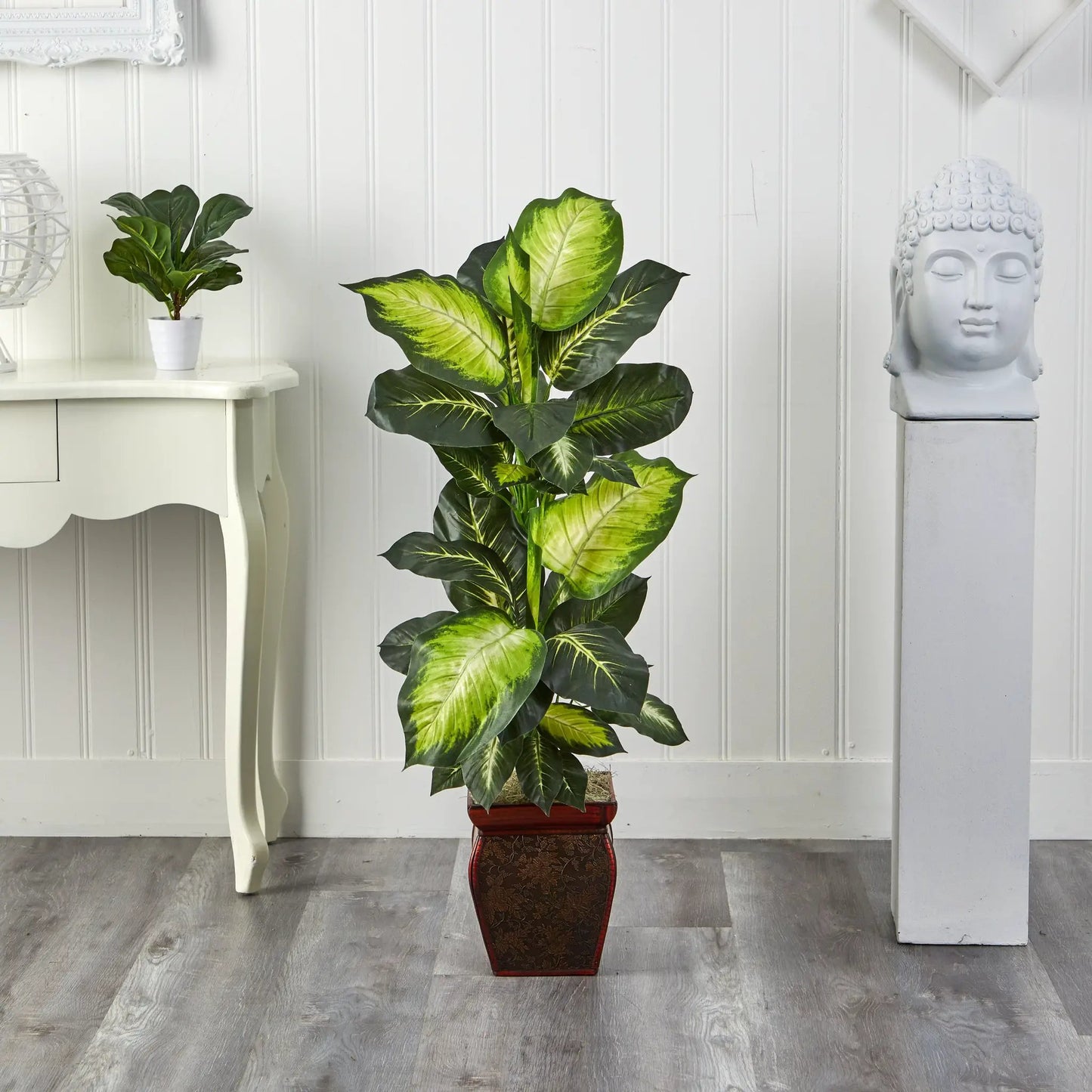 Golden Dieffenbachia plant in a red planter with one small potted plant on white furniture on Tampa Home & Garden Store