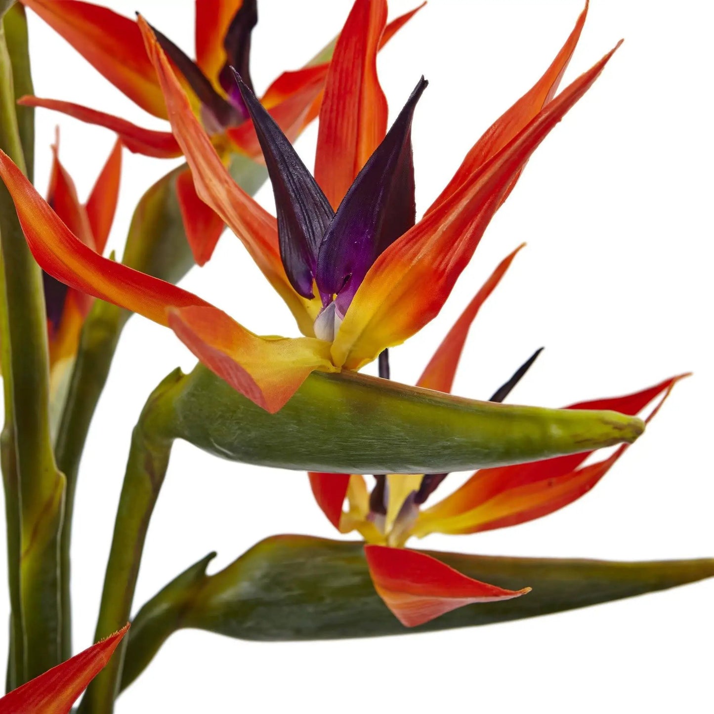 Fiery Birds of Paradise vase arrangement with Nearly Natural blooms in orange-red and purple on Tampa Home & Garden Store