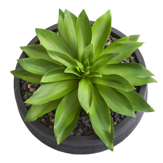Large decorative bowl artificial succulent plant with vivid green rosette leaves in a black pot with pebbles on Tampa Home & Garden Store