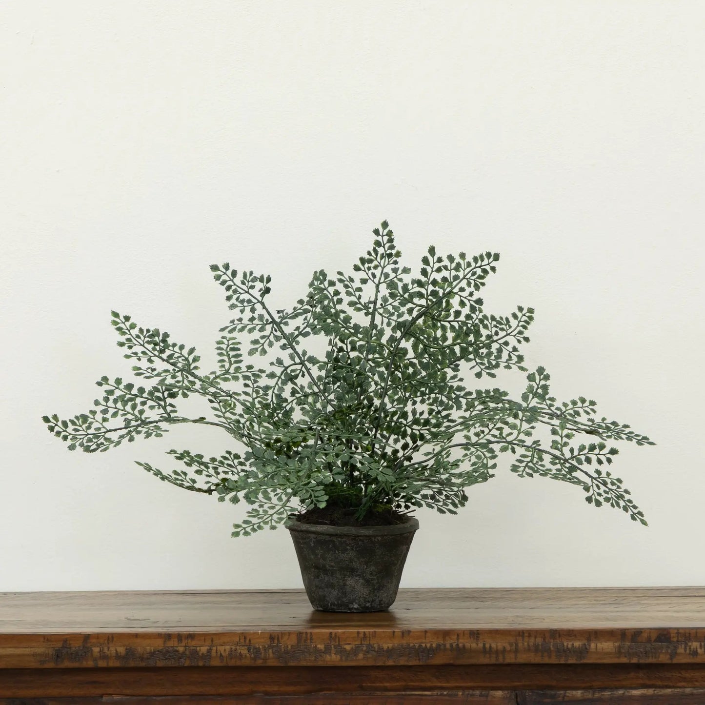 Maiden Hair Artificial Plant in Planter with feathery green fronds by Nearly Natural on Tampa Home & Garden Store