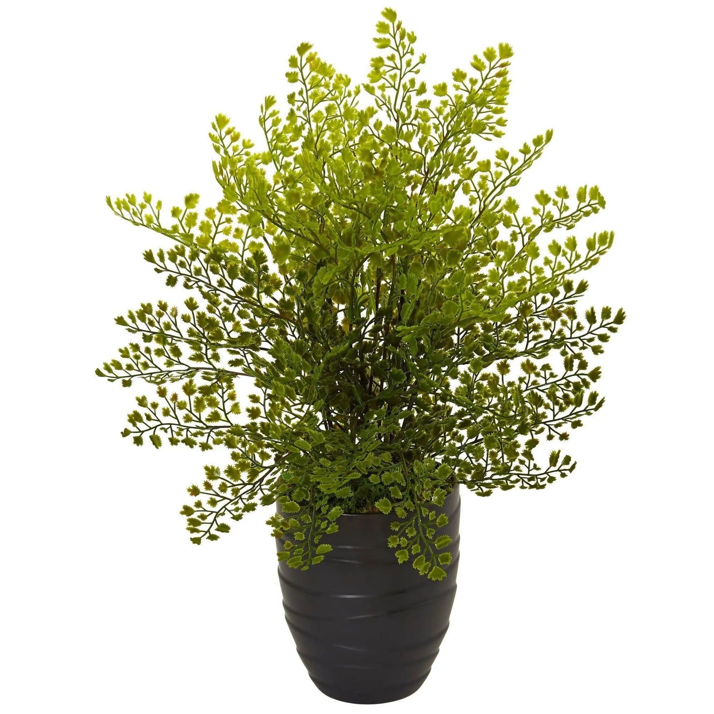 Maiden Hair Plant Nearly Natural faux fern in black ceramic pot with lime-green fronds on Tampa Home & Garden Store