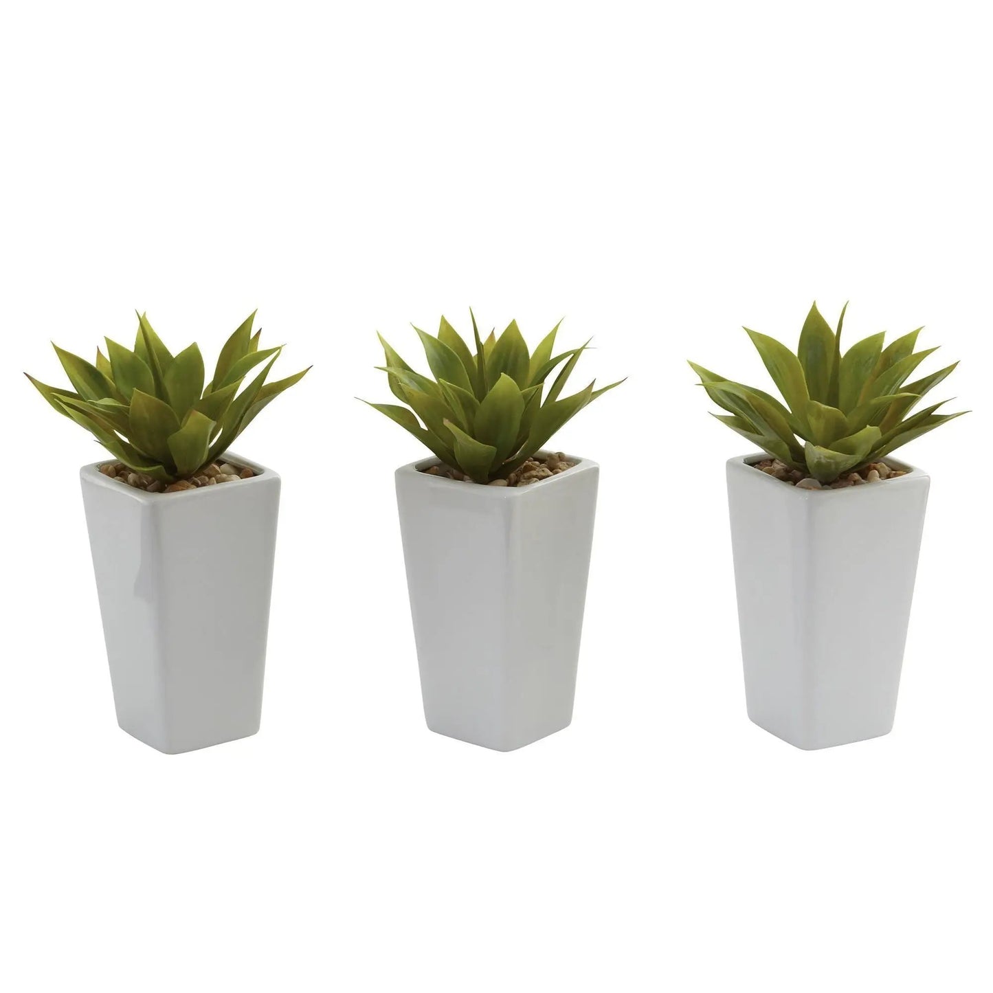 Mini Agave with Planters set of 3 in white square pots with pebble fill on Tampa Home & Garden Store