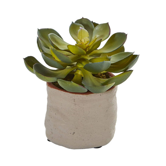 Planta Suculenta Artificial Mixta (Set de 4)