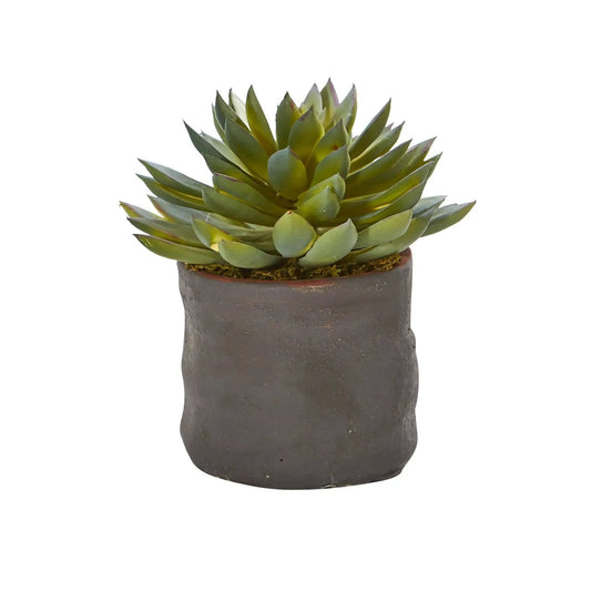 Artificial green succulent rosette in a dark textured pot, Mixed Succulent Trio set of 3 on Tampa Home & Garden Store