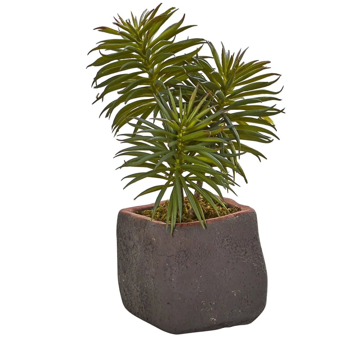 Artificial Mixed Succulent Trio plant in a textured dark pot on Tampa Home & Garden Store