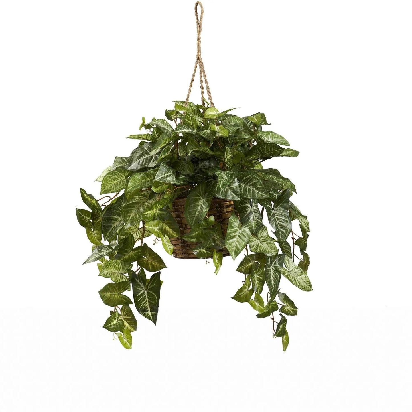 Nepthytis hanging basket with cascading green leaves in a wicker basket, Nearly Natural on Tampa Home & Garden Store