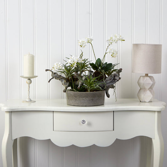 Orchid & Succulent Garden w/Driftwood & Decorative Vase - Tampa Home & Garden Store