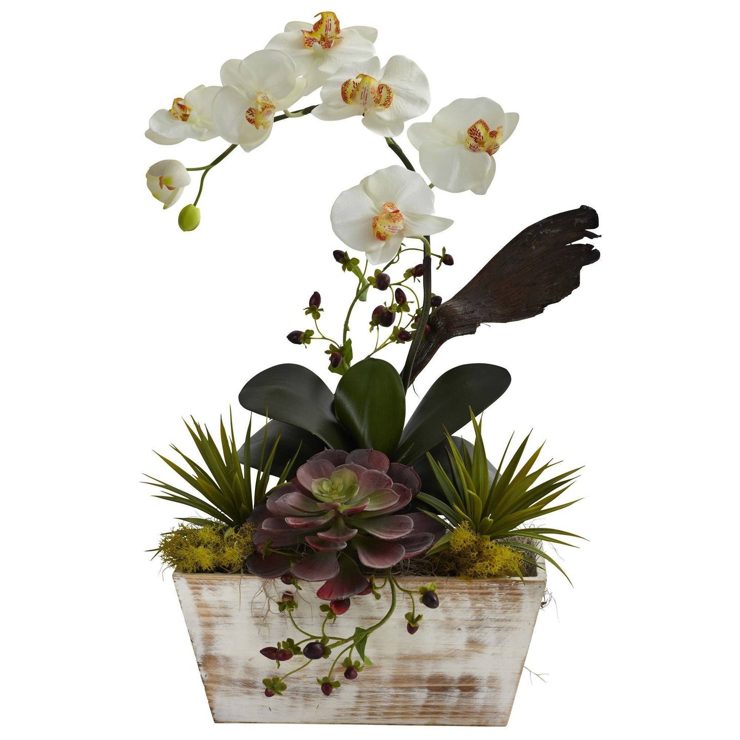 Orchid and Succulent Planter with White Wash