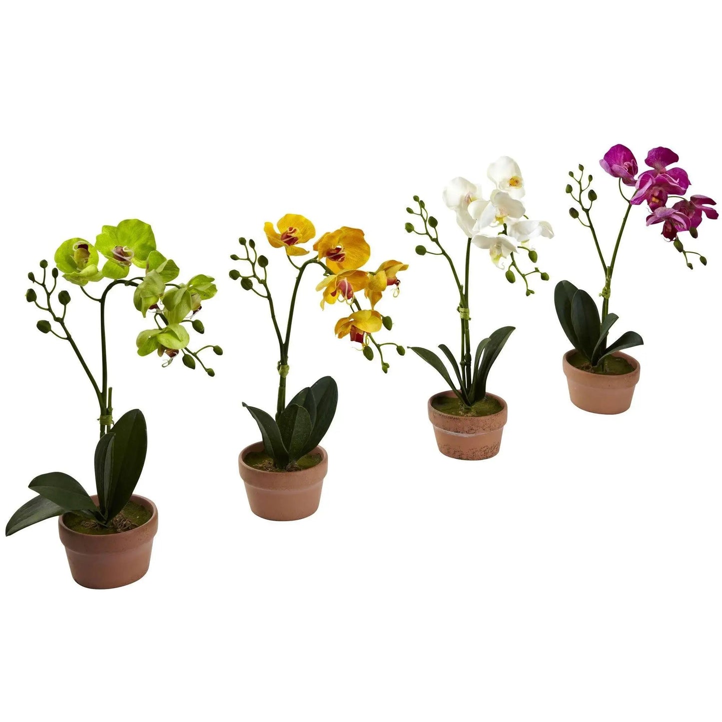 Phalaenopsis orchids in clay pots set of four Nearly Natural on Tampa Home & Garden Store