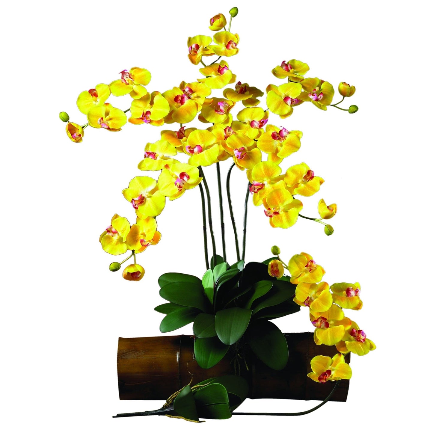 Silk Phalaenopsis Orchid Flowers and Arrangements