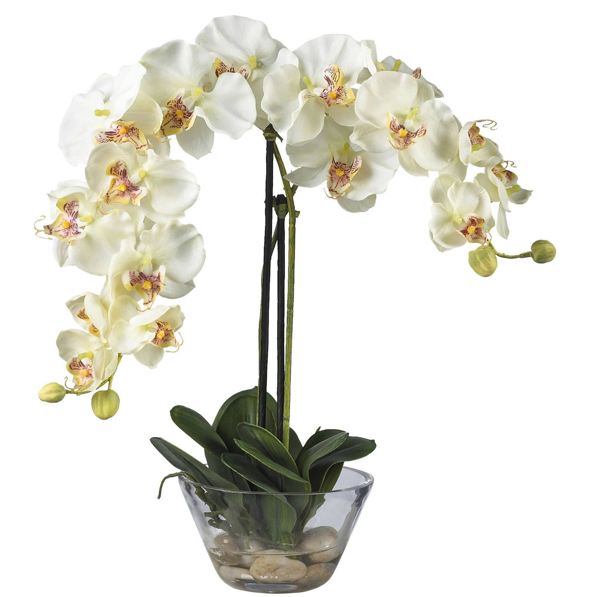 Phalaenopsis silk flower arrangement in glass vase, Nearly Natural white orchids with leaves on Tampa Home & Garden Store