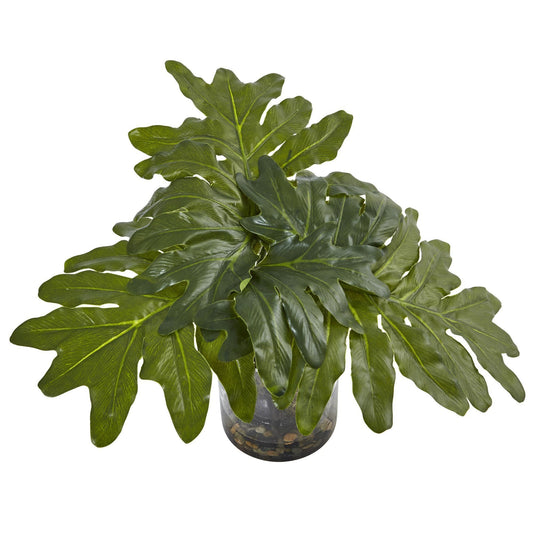 Philodendron Arrangement with Vase - Tampa Home & Garden Store