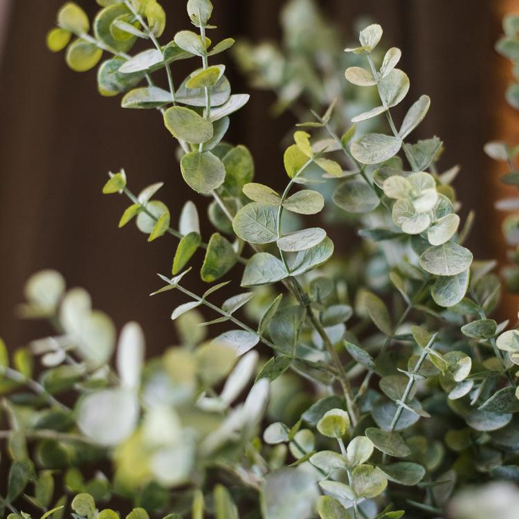 Artificial eucalyptus stem by RusticReach, green faux plant, 26in tall on Tampa Home & Garden Store