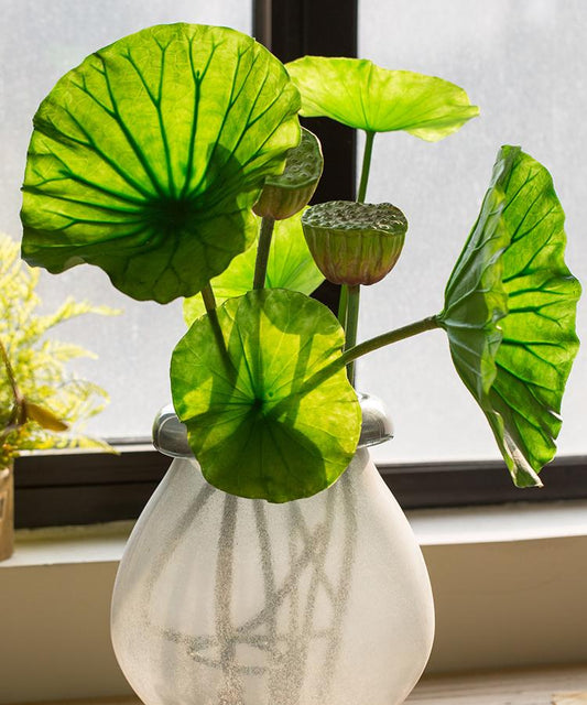 Artificial lotus seed and leaf stem arrangement with green round leaves in frosted glass vase on Tampa Home & Garden Store
