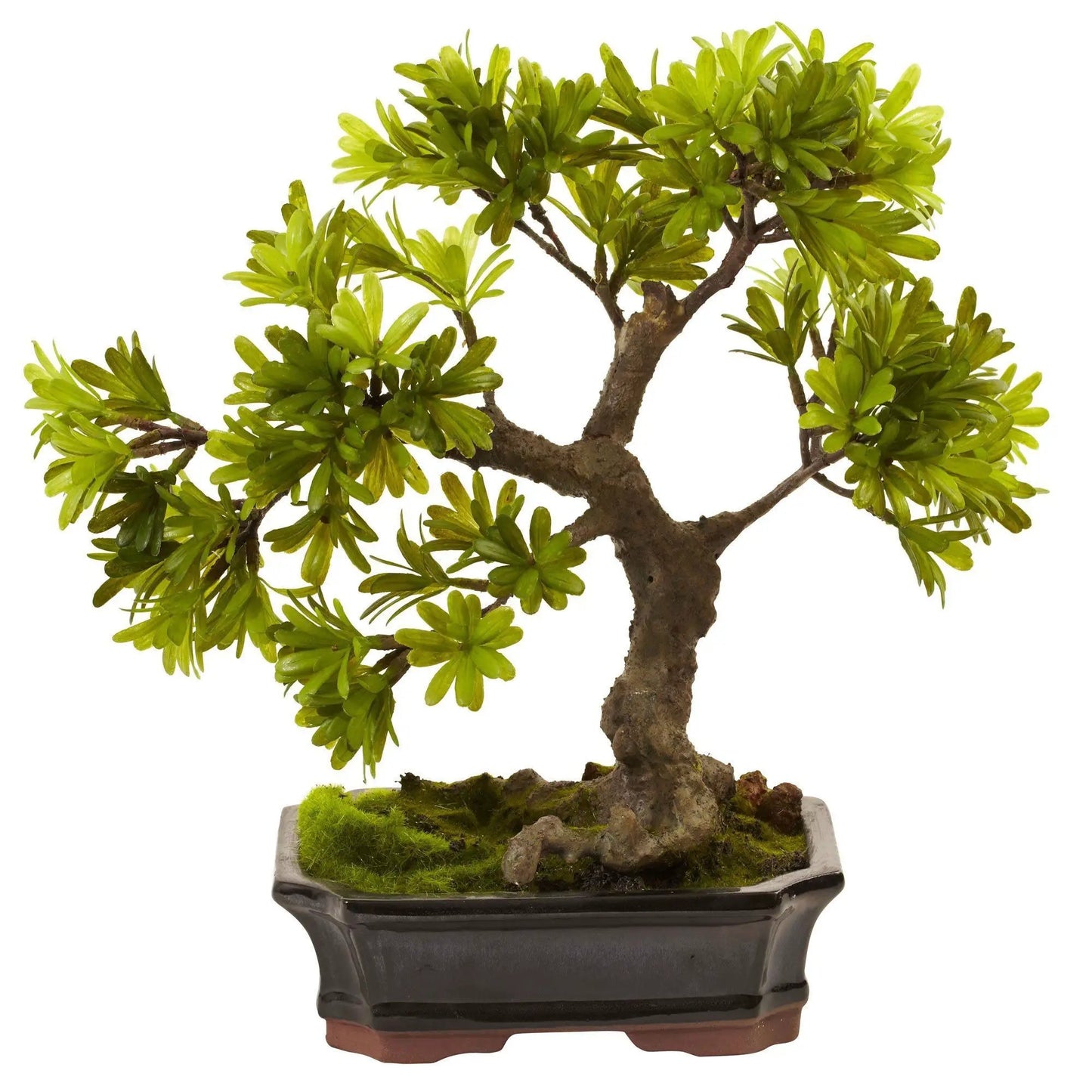 Podocarpus Bonsai with Moss Planter, artificial green foliage in a dark pot by Nearly Natural on Tampa Home & Garden Store