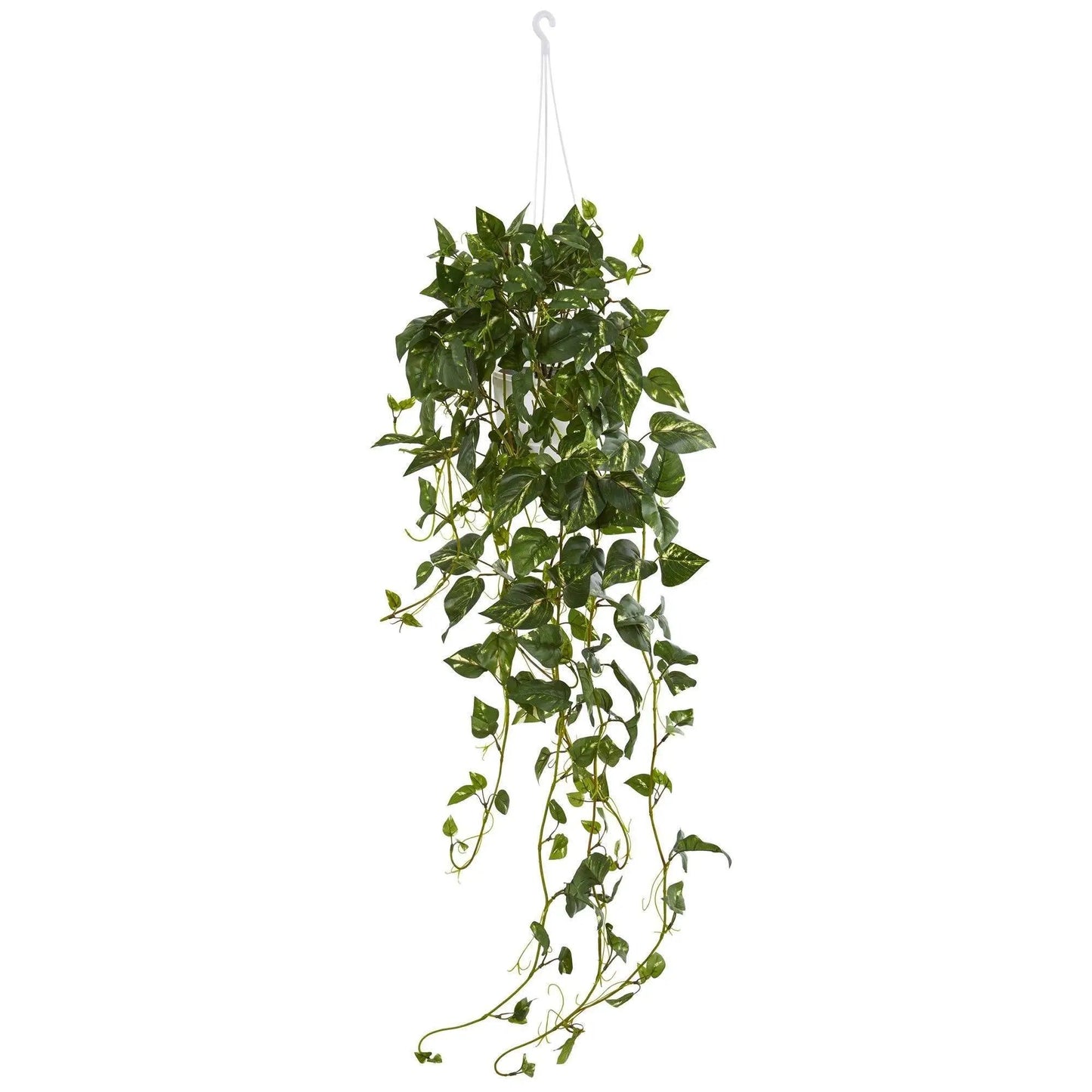 - image on Tampa Home & Garden Store
