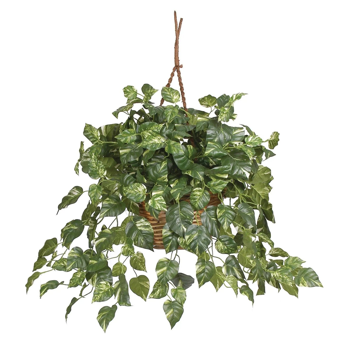 Pothos Silk Hanging Basket plant by Nearly Natural, variegated pothos in hanging basket on Tampa Home & Garden Store