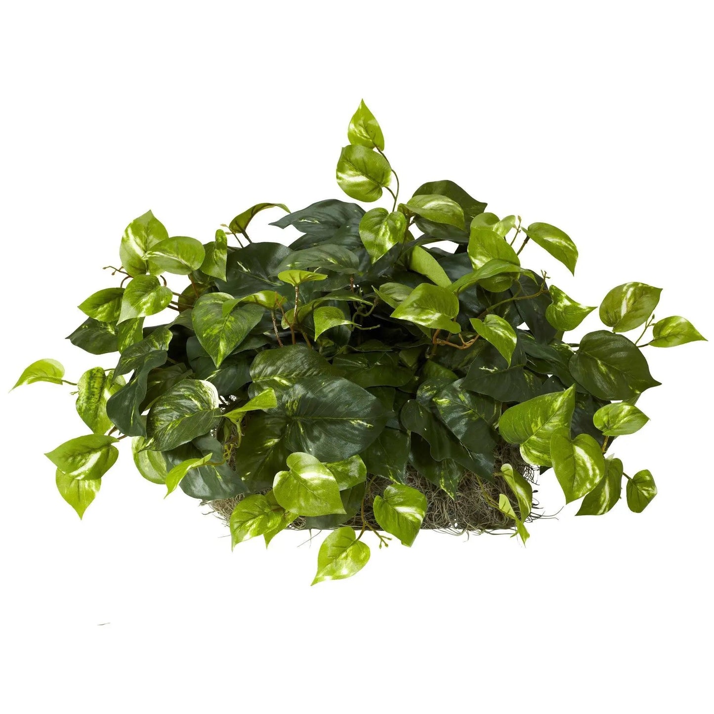 Pothos silk plant on foam sheet ledge with green leaves Nearly Natural artificial on Tampa Home & Garden Store
