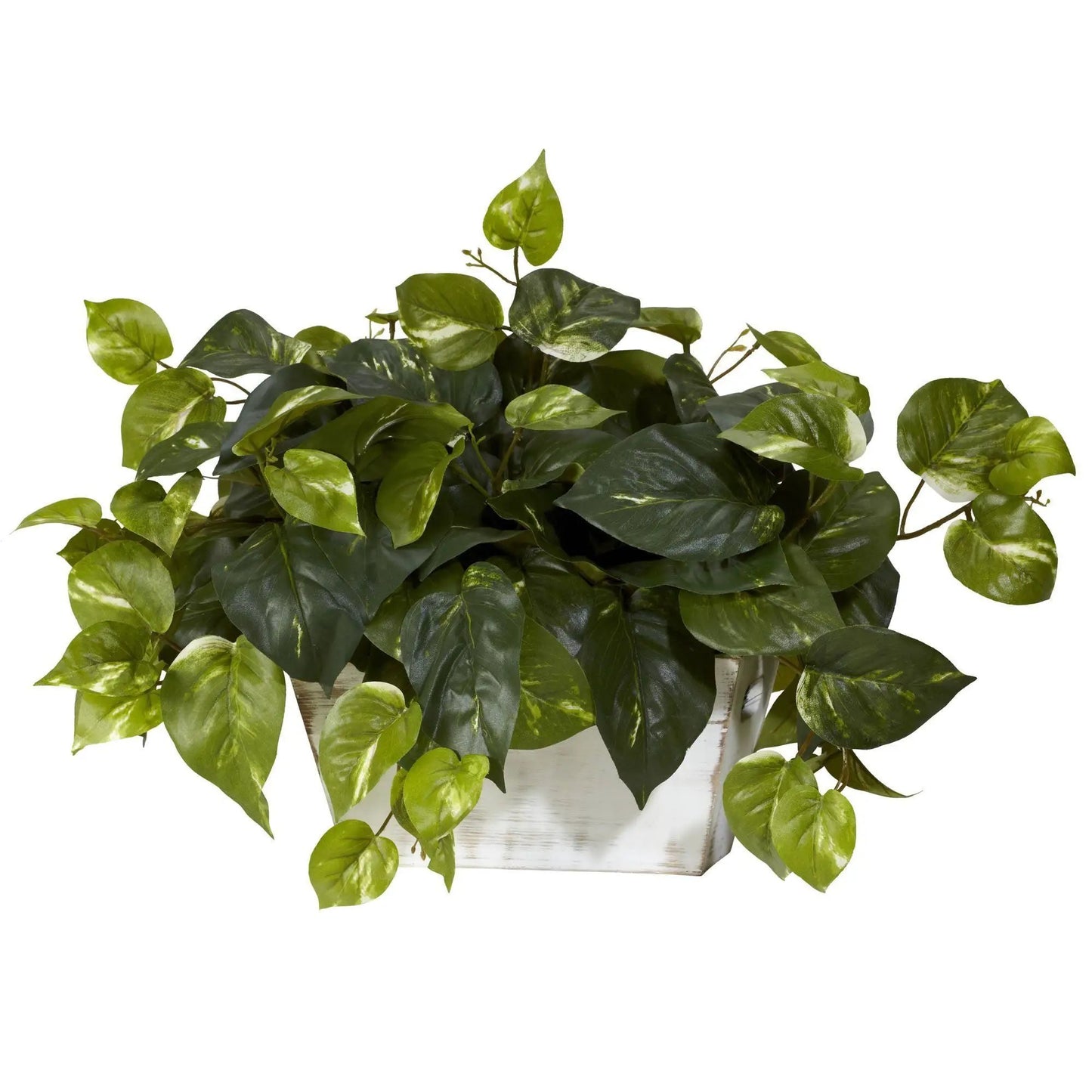 Pothos in whitewash planter; green leaves, artificial non-flowering plant by Nearly Natural on Tampa Home & Garden Store