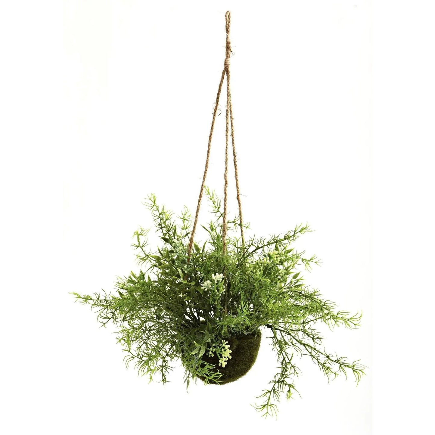 Ruscus Sedum and Springeri Hanging Basket, artificial non-flowering greenery with jute rope on Tampa Home & Garden Store