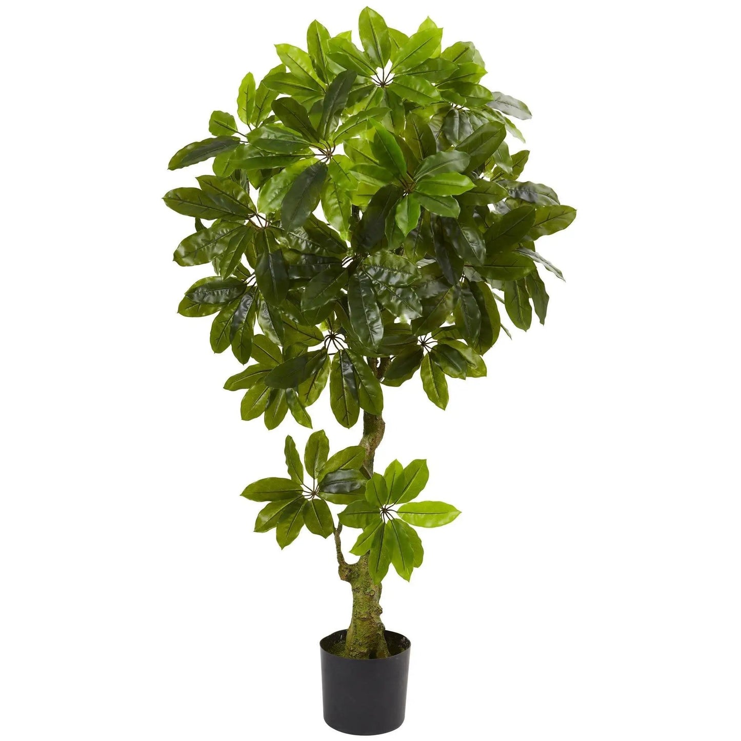 Schefflera UV-resistant artificial tree outdoors with glossy green leaves in a black pot on Tampa Home & Garden Store