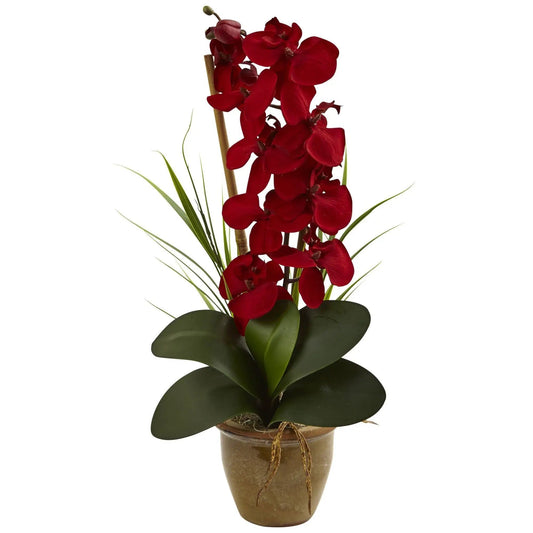 Seasonal Phalaenopsis Orchid Arrangement red artificial orchids in pot with bamboo stake on Tampa Home & Garden Store