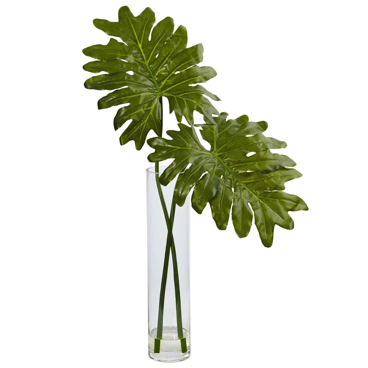 Philodendron Selloum artificial plant Nearly Natural in clear cylinder glass vase on Tampa Home & Garden Store