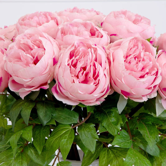 Signature Peony Arrangement pink artificial peonies with green foliage on Tampa Home & Garden Store