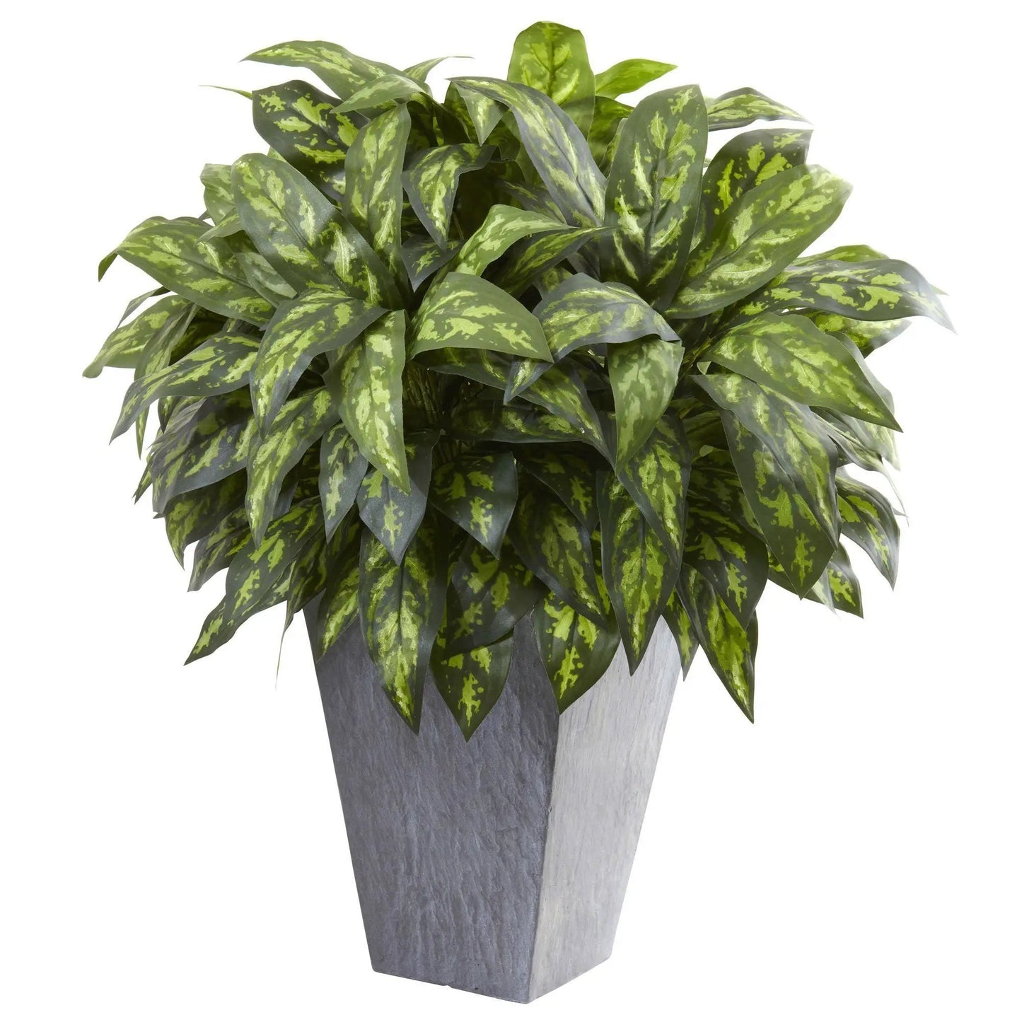 Artificial Silver King plant in slate planter with variegated green leaves Nearly Natural on Tampa Home & Garden Store
