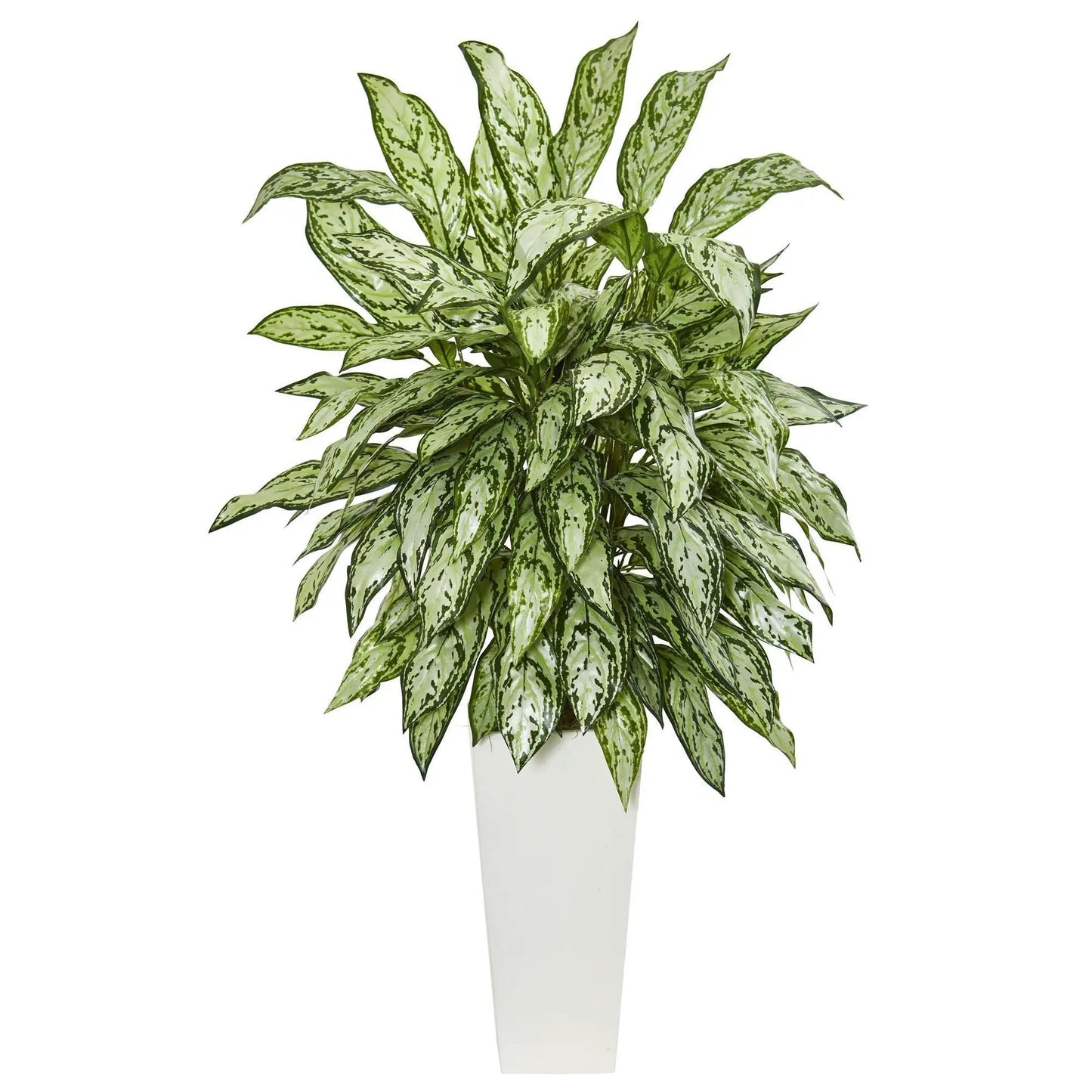 Silver Queen artificial plant by Nearly Natural with green-silver leaves in a white planter on Tampa Home & Garden Store