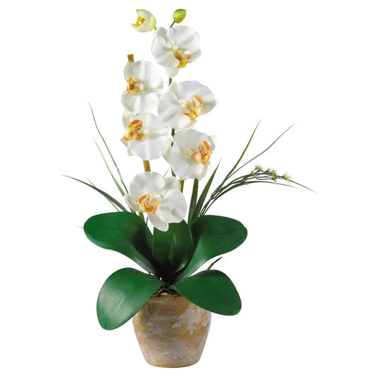 Single stem Phalaenopsis silk orchid with white blooms and green leaves in a beige ceramic pot on Tampa Home & Garden Store