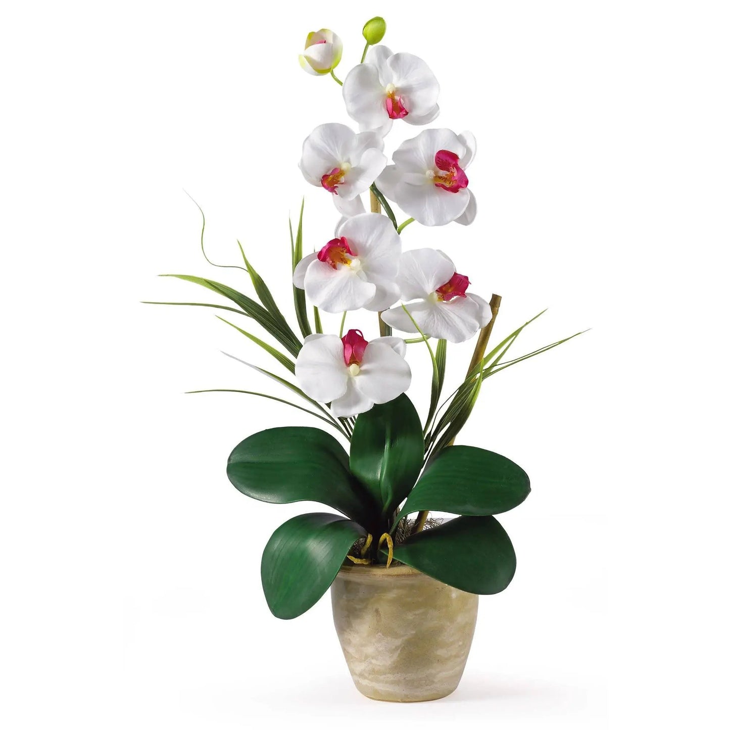 Single Phalaenopsis silk orchid arrangement with white blooms in beige pot Nearly Natural on Tampa Home & Garden Store