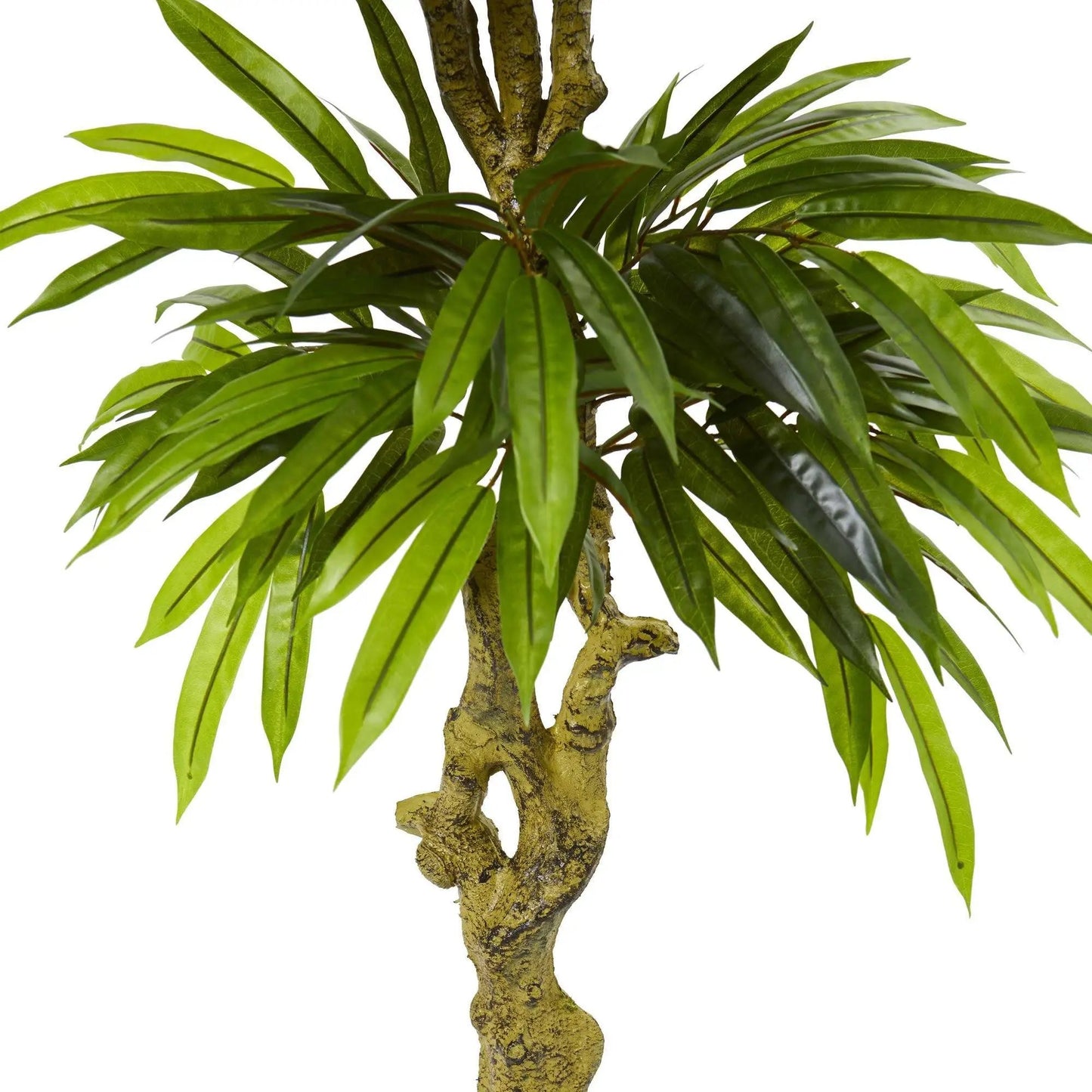 Slim Mango Tree UV Resistant artificial tree with slender green leaves on a textured trunk on Tampa Home & Garden Store