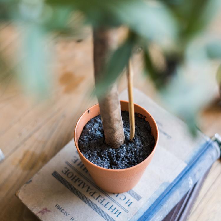 Artificial Small Olive Tree, 24-inch tall, in terracotta pot with dark soil and stake on Tampa Home & Garden Store