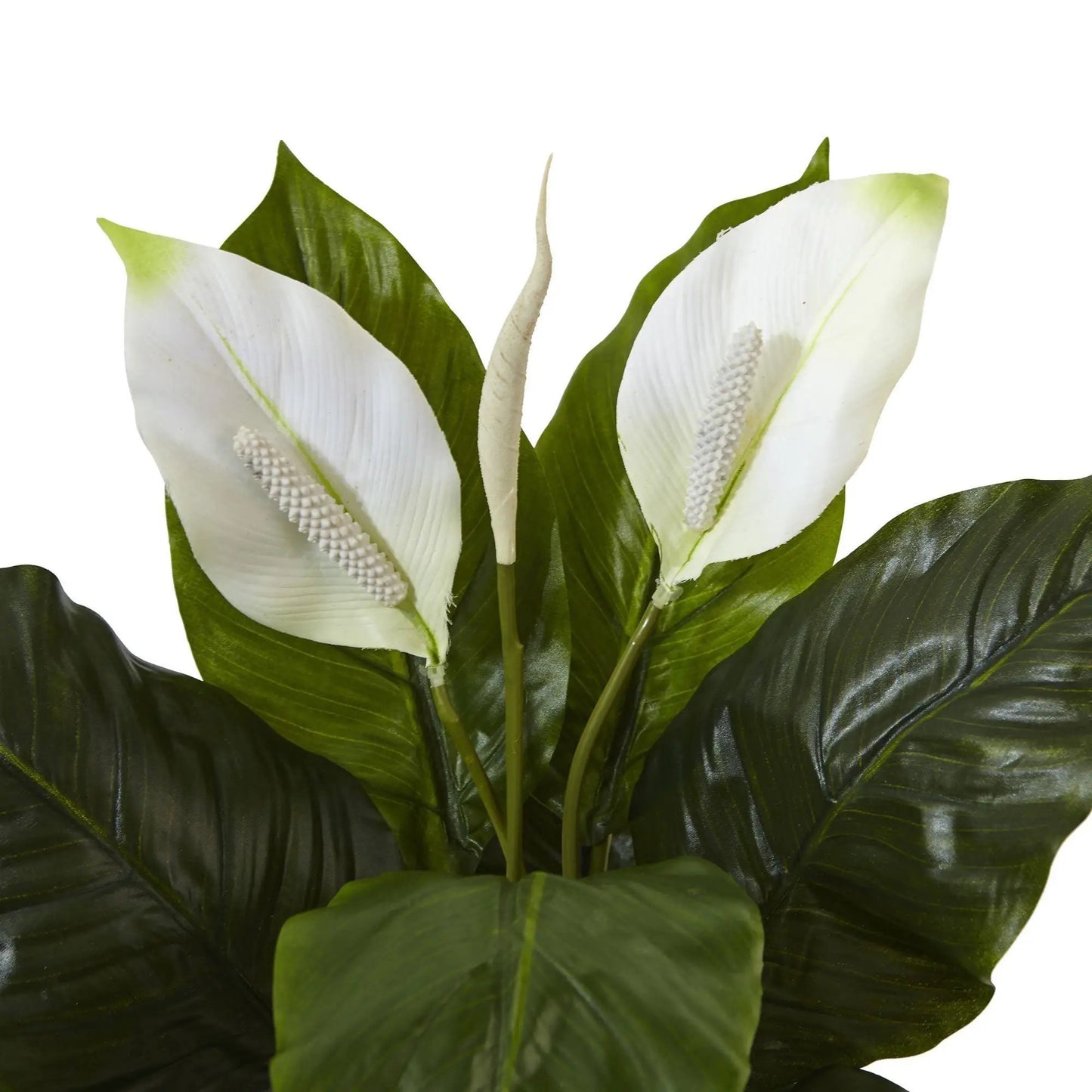Spathifyllum artificial plant with glossy dark green leaves and white spathes on Tampa Home & Garden Store