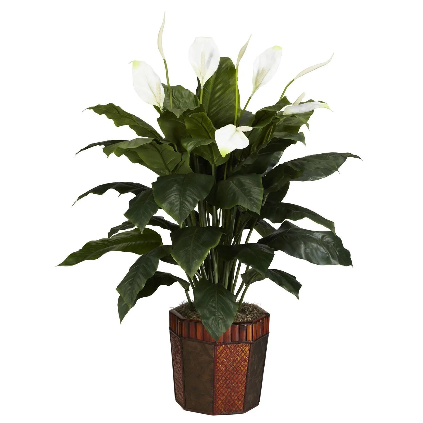 Spathyfillum with Wood Vase Silk Plant tall peace lily with white blooms and green leaves on Tampa Home & Garden Store