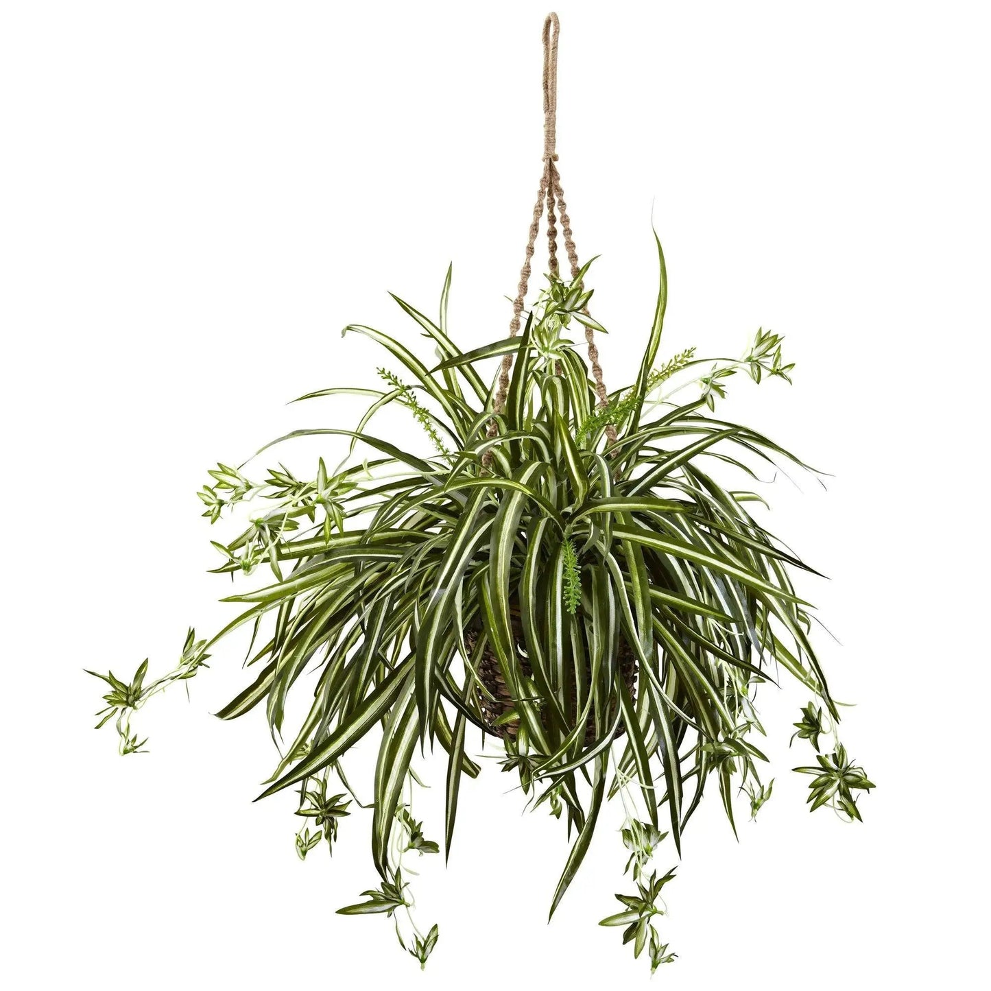 Spider Plant Hanging Basket with long narrow green-cream leaves Nearly Natural on Tampa Home & Garden Store